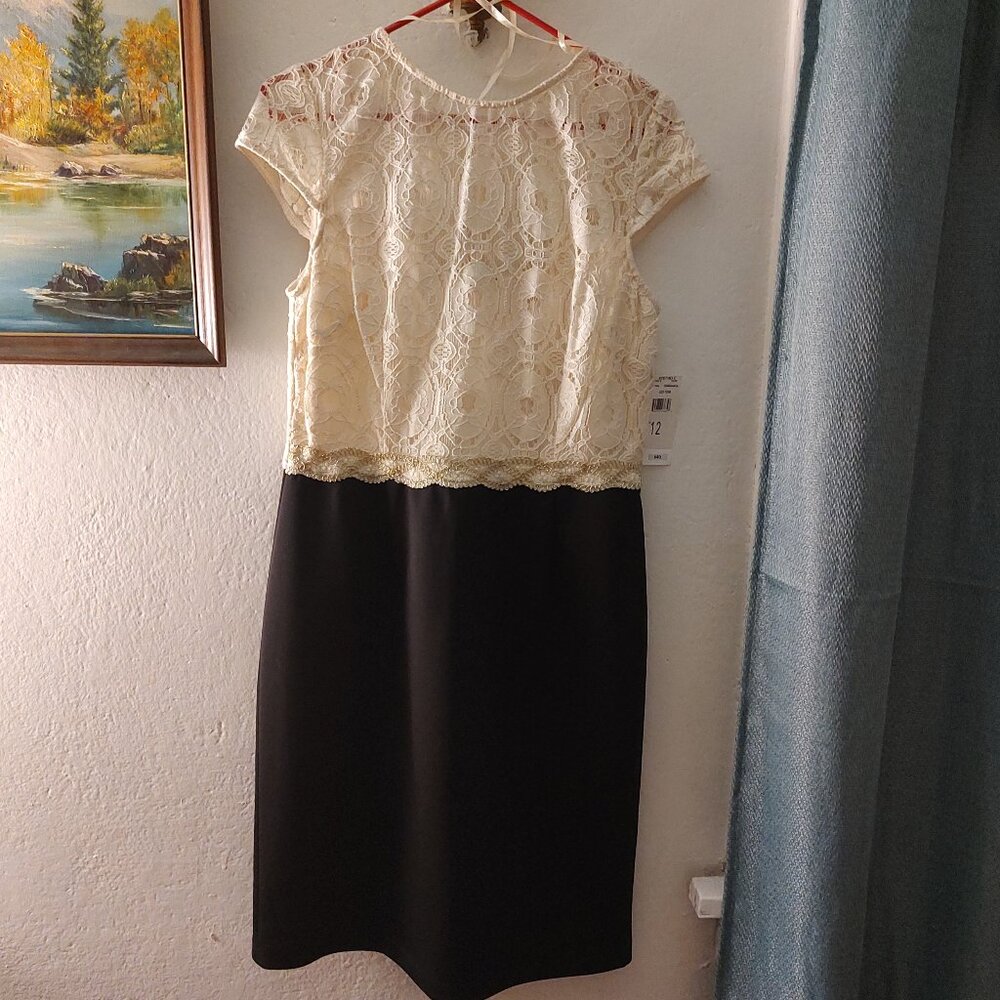 NWT Studio I dress cream and black.
